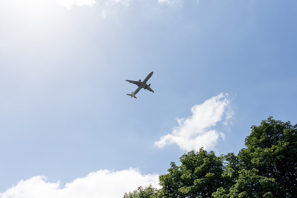Familienshooting mit drei Hunden im Stadtpark Hamburg